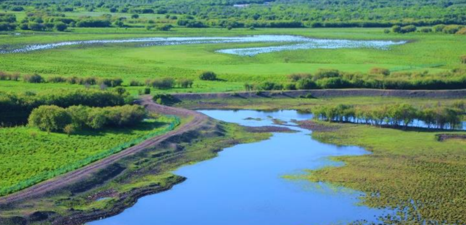 自动化SEO测试-人员操作后删除SEO内容部分全部